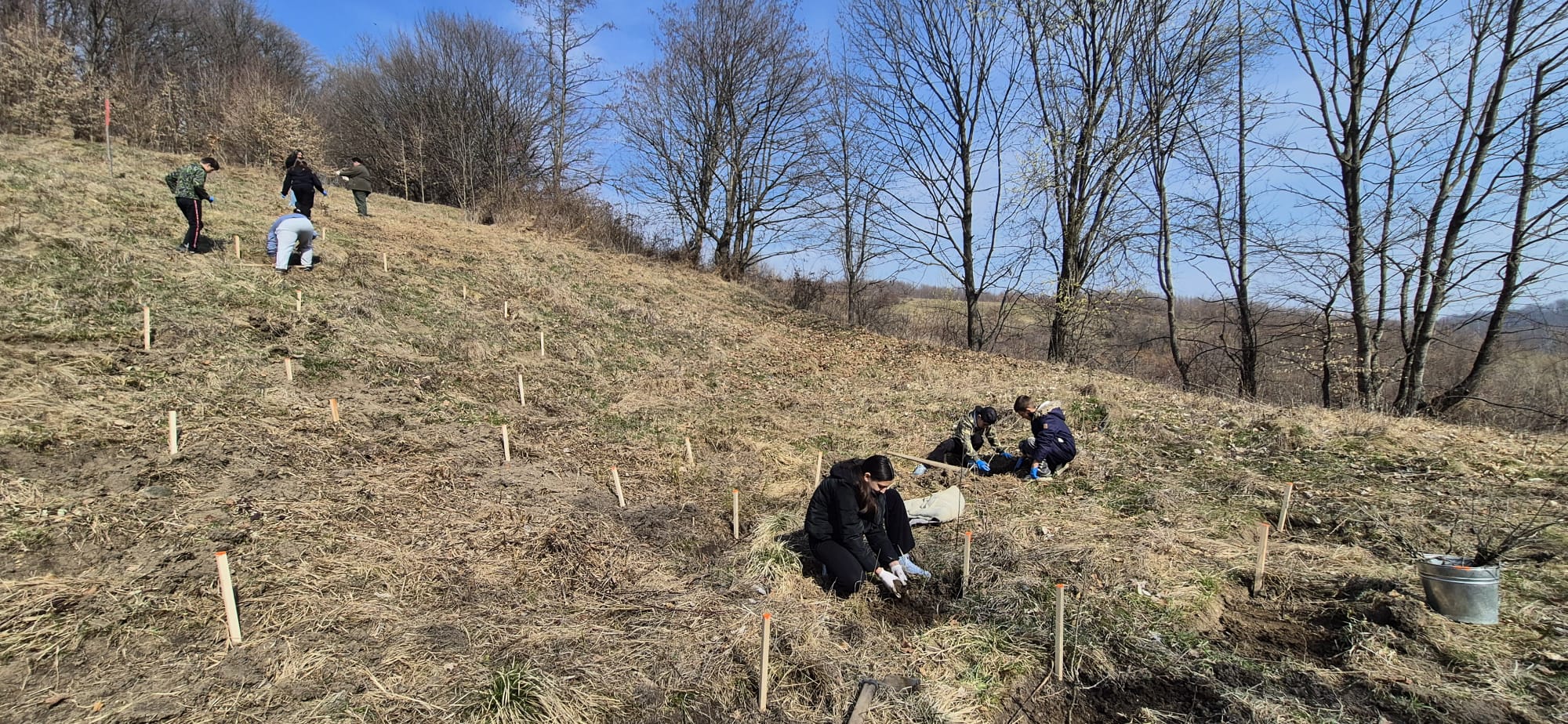 WhatsApp Image 2026-03-26 at 11.26.33 (4)